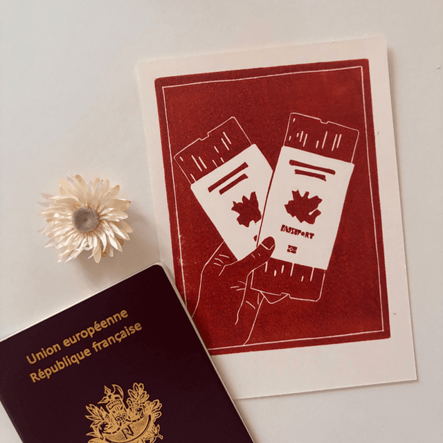 Polaroid #07 - Passport